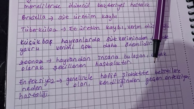 Sizce yazım güzel mi?