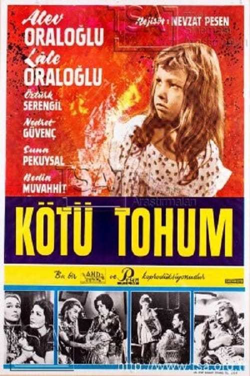 Türk korku filmi önerir misiniz?