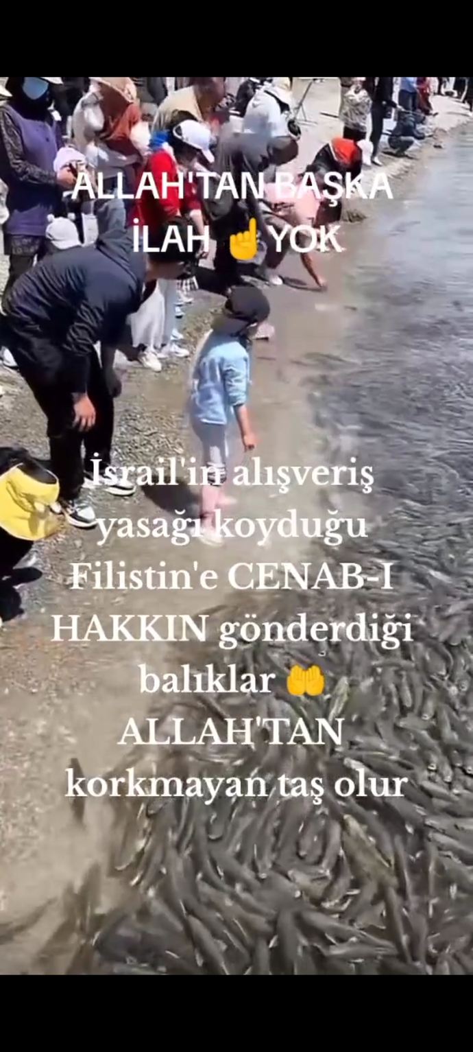 #Filistin hakkinda ne dusunuyorsunuz?