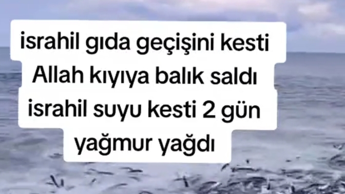 #Filistin hakkinda ne dusunuyorsunuz?