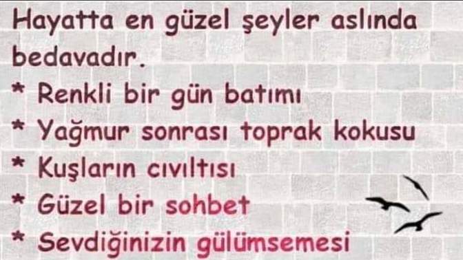 Bu hayatta en güzel şeylerin bedava olduğunu biliyor musunuz?