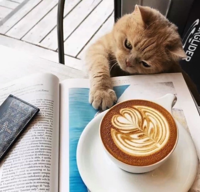 Çay mı kahve mi? Gün içinde hangisini daha çok ararsınız?