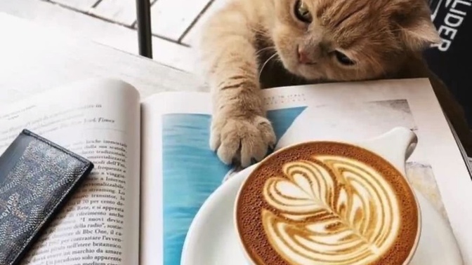 Çay mı kahve mi? Gün içinde hangisini daha çok ararsınız?