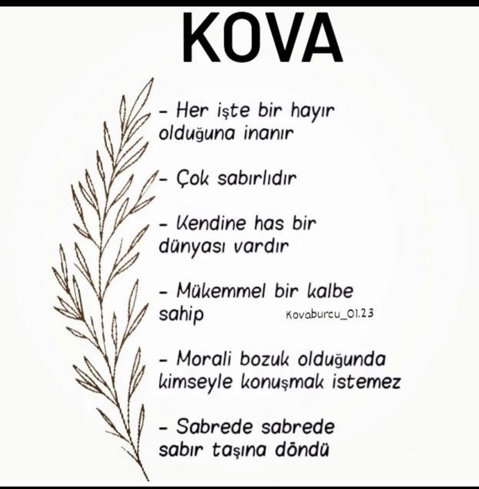 Kova burcunu nasıl bilirsiniz? Anlaşır mısınız kova burcuyla?
