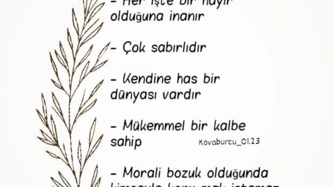 Kova burcunu nasıl bilirsiniz? Anlaşır mısınız kova burcuyla?