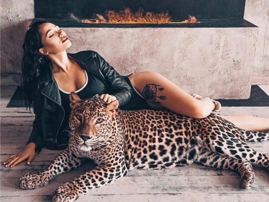 Kediden aslan/aslandan kedi olur mu🐆?