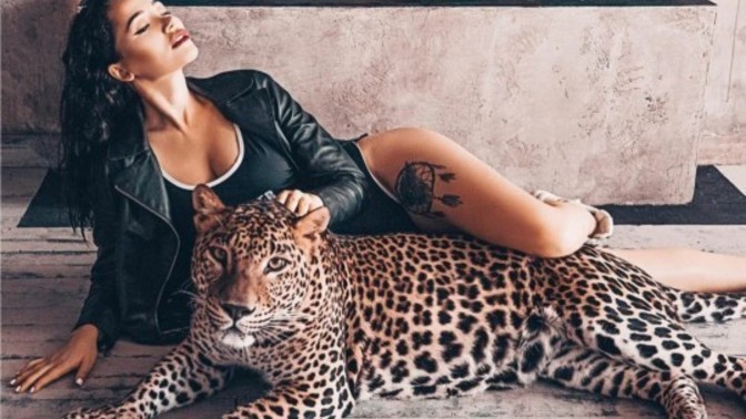Kediden aslan/aslandan kedi olur mu🐆?