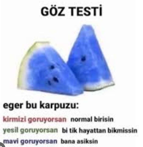 Siz ne görüyorsunuz?