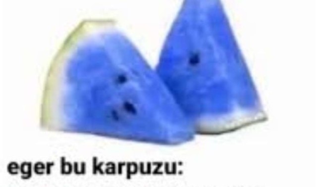 Siz ne görüyorsunuz?