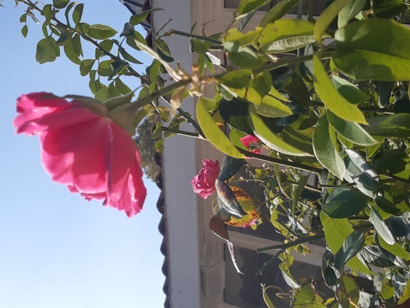 Çektiğiniz güzel bir fotoğrafı paylaşır mısınız?