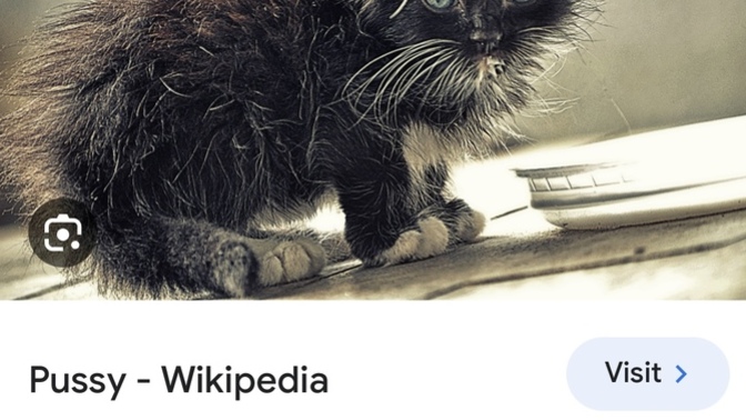 İngilizce'de “Cat” ve “Pussy” arasındaki fark nedir?