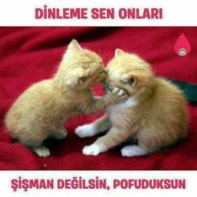 Bu hayattaki en büyük teselliniz nedir ?