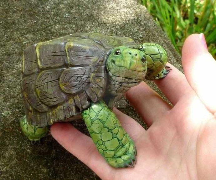 Bahçedeki ters dönmüş kaplumbağayı şefkatle düz çeviren erkekten olur mu🙂?