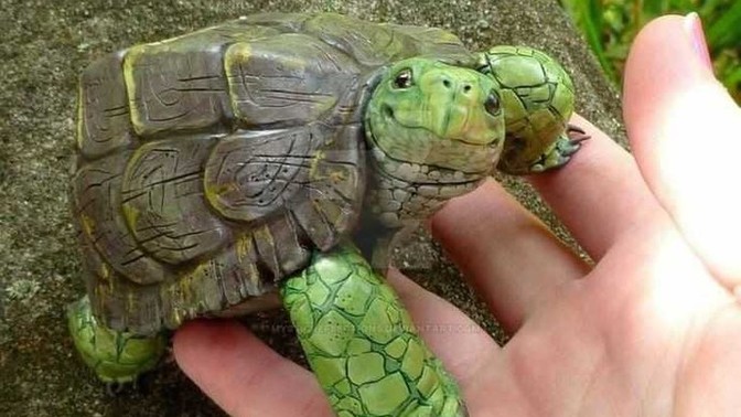 Bahçedeki ters dönmüş kaplumbağayı şefkatle düz çeviren erkekten olur mu🙂?