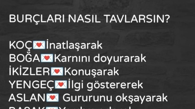 Burcuna göre seni nasıl tavlarlar?