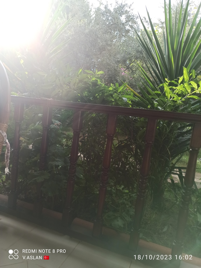 Kapalı kasvetli yağmur yağacak gibi havalar sizi ruhen nasıl etkiliyor?