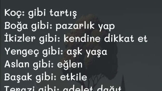 Hangi burç insanı en iyi ne yapar?