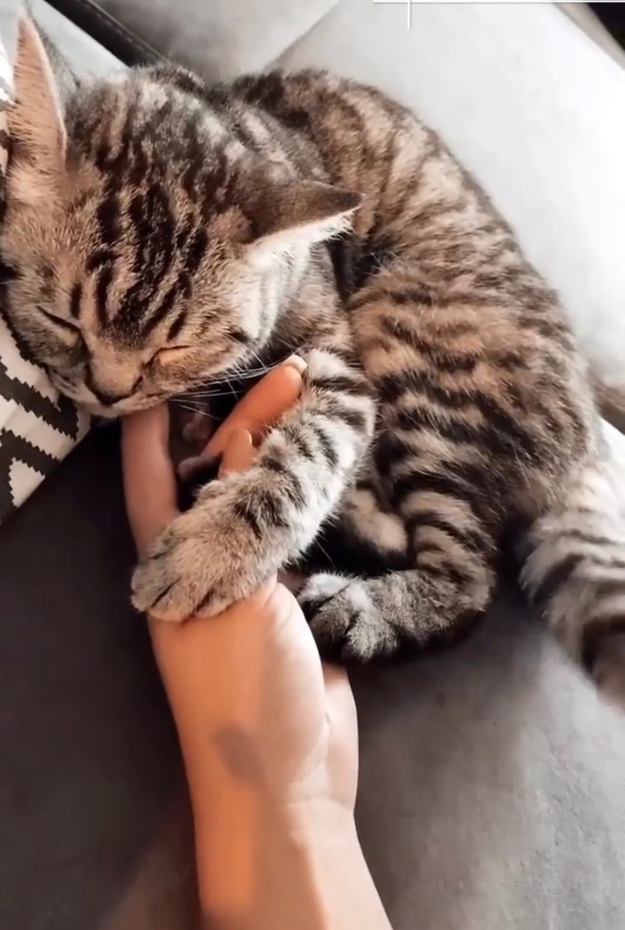 Yorgun.