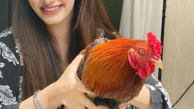 Elinize aldığınızda sizi mutlu eden şeyler nelerdir?