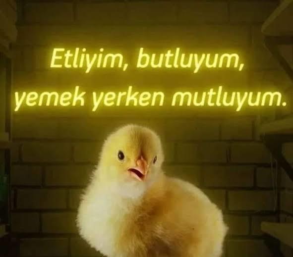 😂😂Galiba o zaman bu kafayı yaşıyordum.
