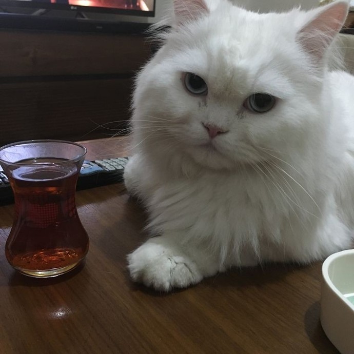 Beyaz yalanları sorun eder misin?