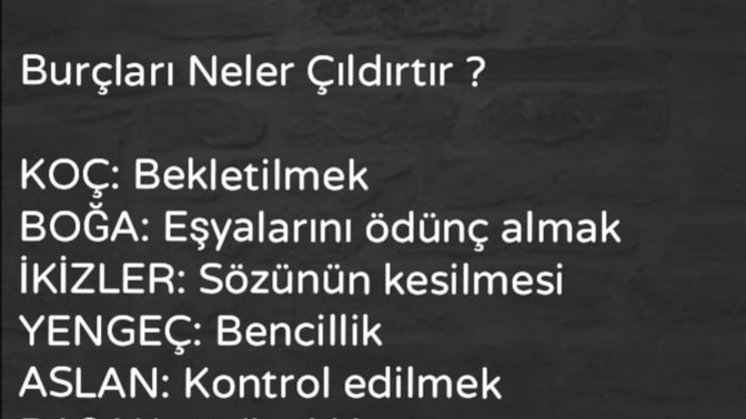 Burcuna göre seni ne çıldırtır?