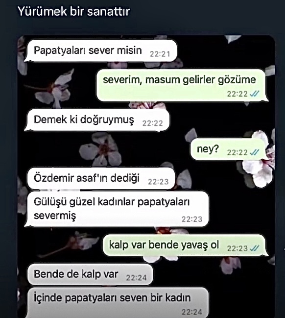 Size böylesine yürüyen birisini reddetme olasılığınız nedir?