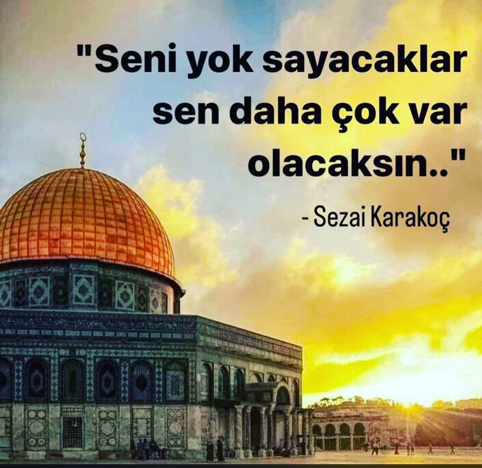 Diyecek bisey bulamıyorum lütfen uyanır mısın Müslüman? 😭?