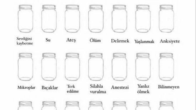 Sizin korkunuz hangisidir?