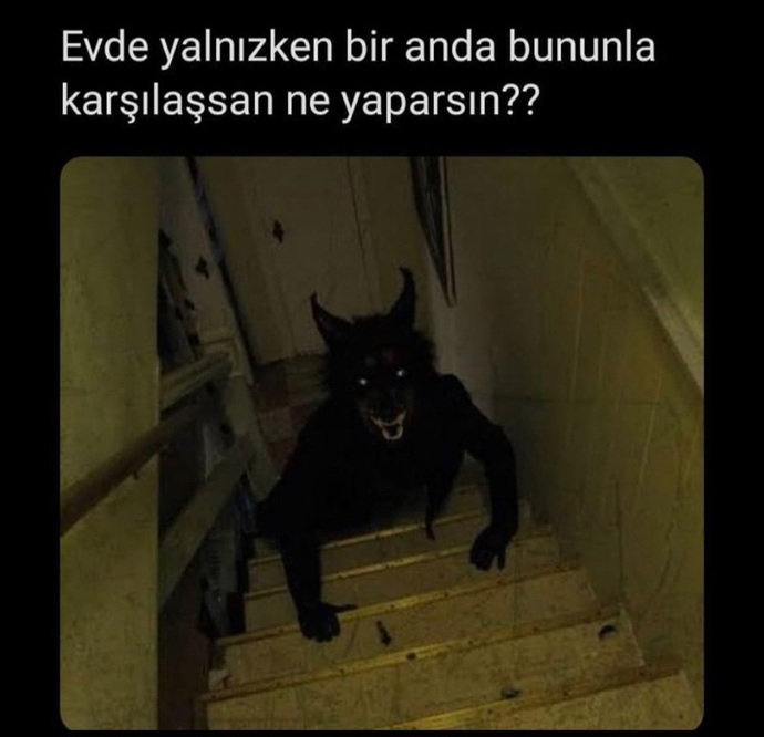 Gece karşınıza böyle bir şey çıksa ne yaparsınız?