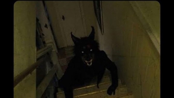Gece karşınıza böyle bir şey çıksa ne yaparsınız?