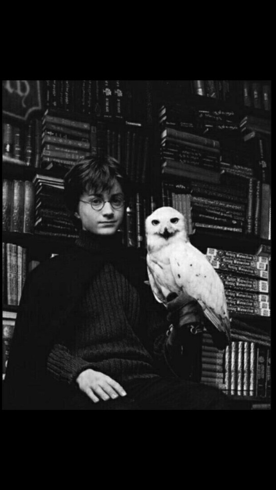 Harry Potter filmlerinin bağımlısı mısınız?