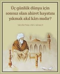 Bir erkekte en çok aradığın özellik nedir?