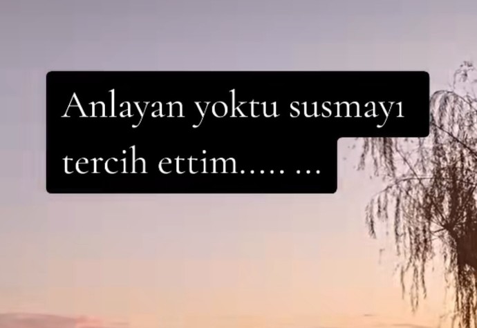 Anlayan yoktu susmayı tercih ettiğiniz oldu mu?