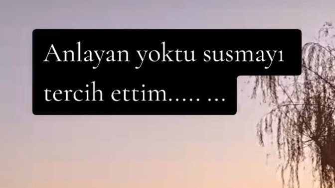 Anlayan yoktu susmayı tercih ettiğiniz oldu mu?