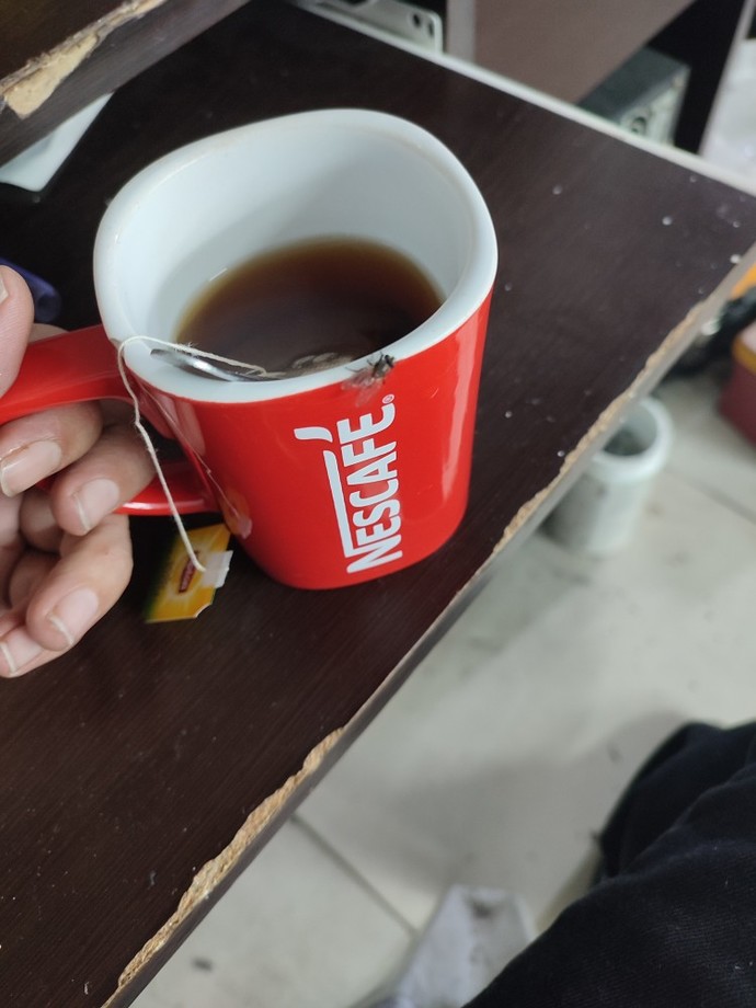 Sinek konan bardaktan çay içer misiniz?
