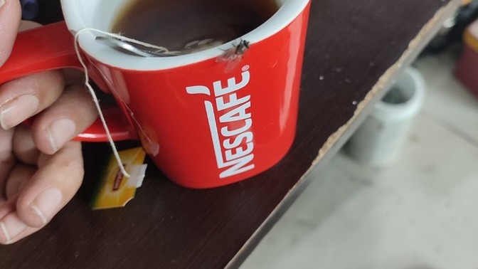 Sinek konan bardaktan çay içer misiniz?