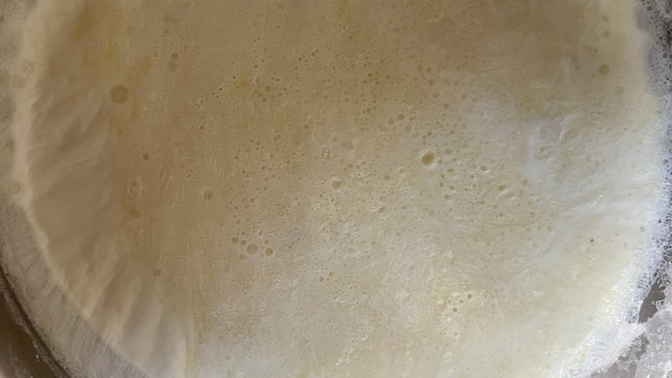Manda 🐃 sütünden kaymak yaptım😃, kaymak sever misin?