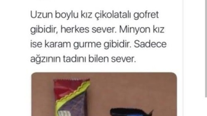Tecrübeli erkekler neden minyon kız sever?