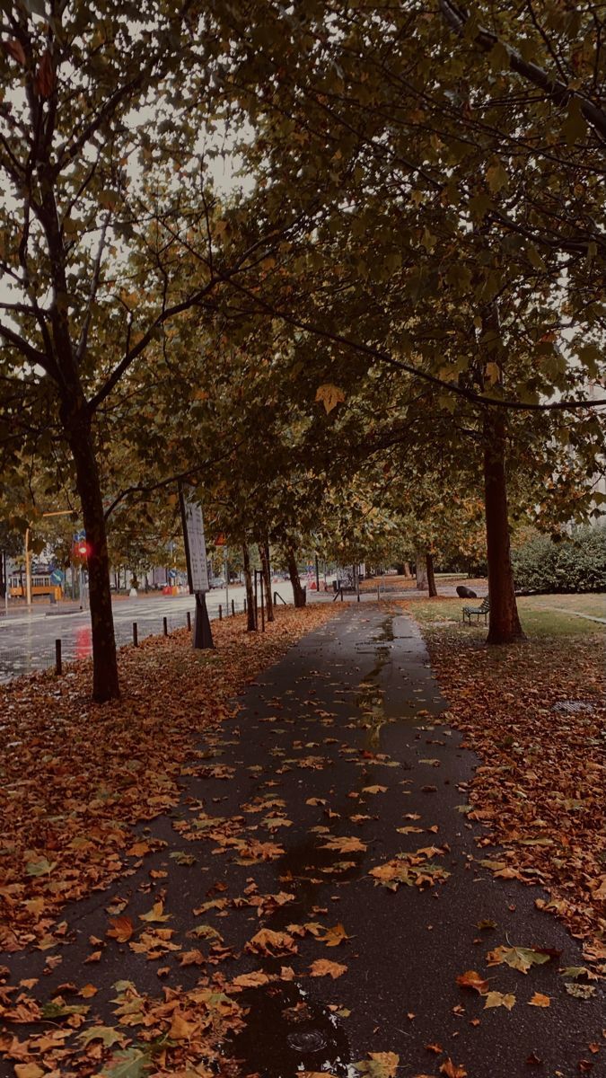 "Bazı ruhlar, aşinadır birbirine "🍂