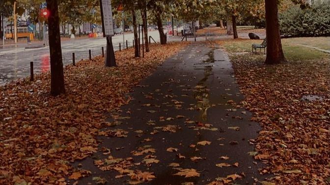 Güne iyi başlamak için ihtiyacın olan şey nedir?
