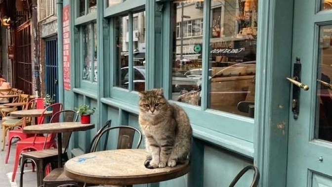 İstanbul'da neler pahalı?