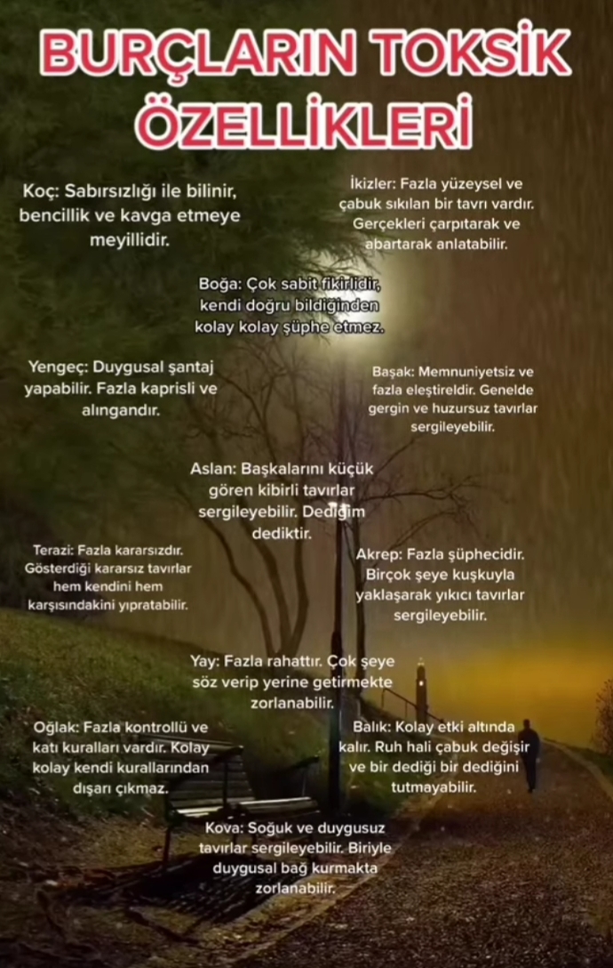 Burcunuz ve toksik özelliğiniz nedir?