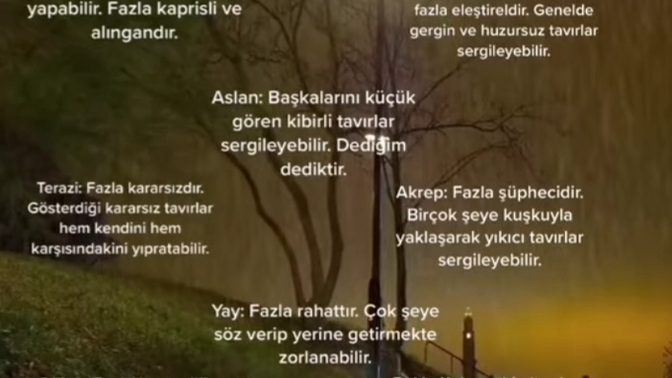 Burcunuz ve toksik özelliğiniz nedir?