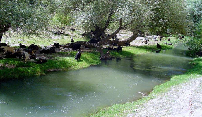 Çay içmek gerçekten harareti alır mı?