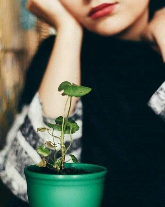 Toz konduramadığım şeylerin ben vazgeçtikten sonra çamur kapladığını gördüm. Bu bana yetti. Ne sevindim, ne üzüldüm ama yetti.. 🍁