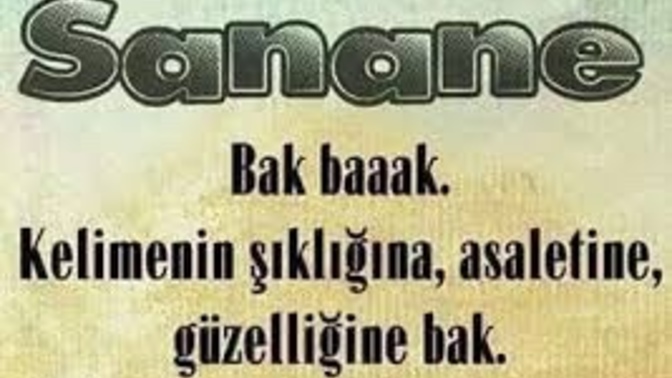 En çok kullandığınız “tersleme” sözleri hangileridir?