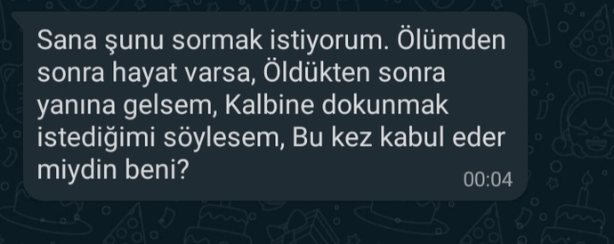 Böyle bir mesaj alsanız cevabınız ne olurdu?