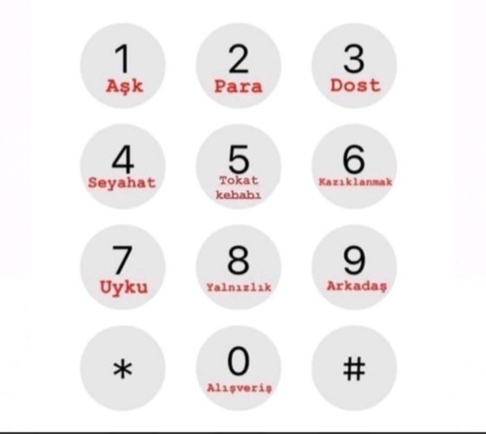 Telefonunuzda bir dilek tutma taşı olsa bu hangisi olurdu?