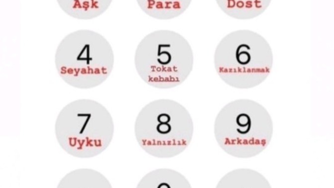 Telefonunuzda bir dilek tutma taşı olsa bu hangisi olurdu?